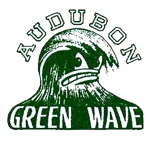 Logo for audubonhighschool_bigteams_5900