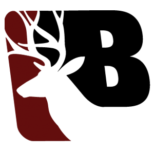 Logo for buchananhighschool_bigteams_17184