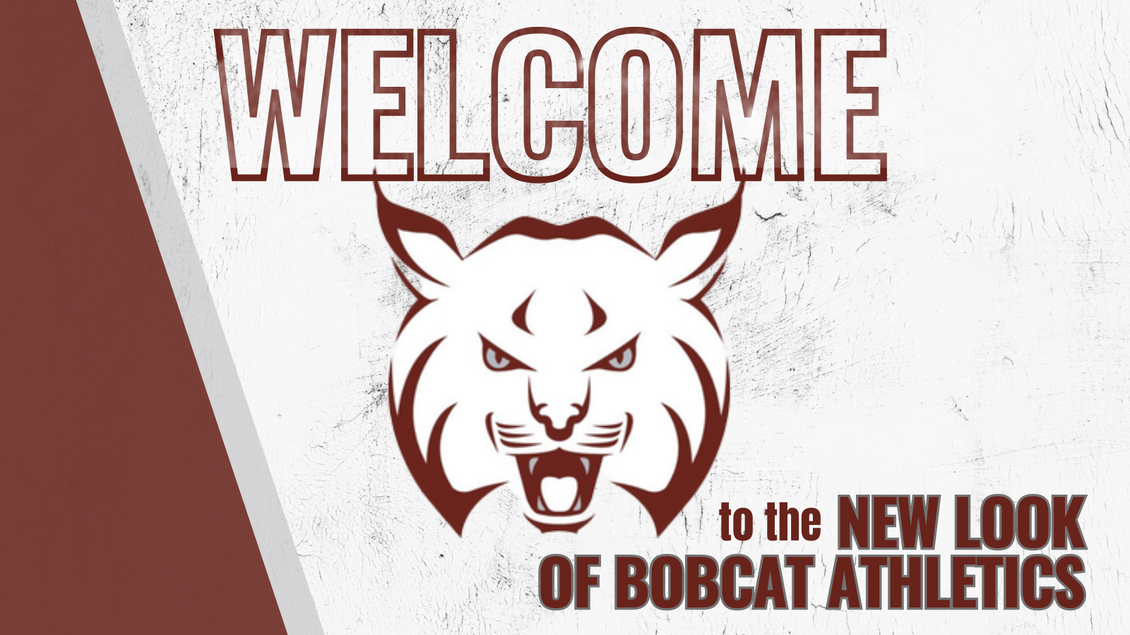 Bobcats reveal new logo