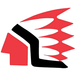Logo for demo1181.bigteamsdemo_com_2043