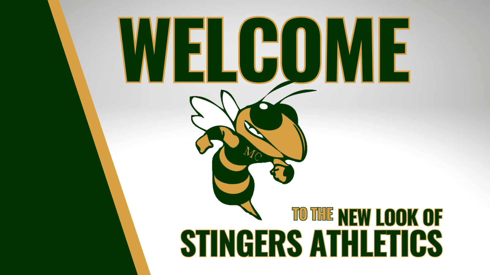 1718746122_Announcement.png - Image for 🎉 Exciting News for Stingers Athletics Fans! 🎉