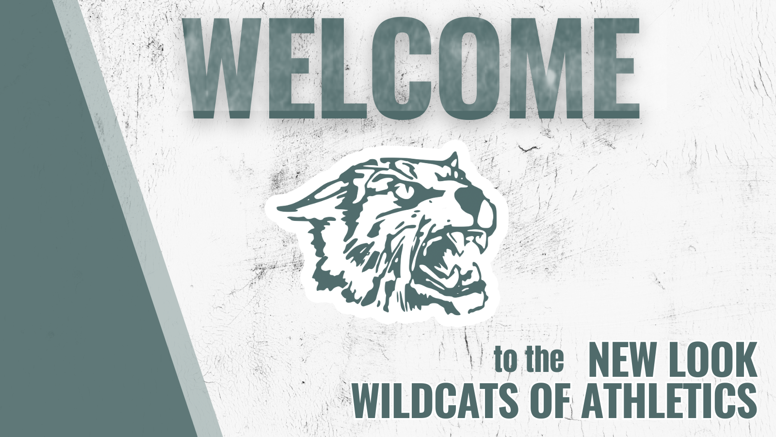 1715092237_CopyofWelcometoTwitterPost.png - Image for 🎉 Exciting News for Wildcat Athletics Fans! 🎉