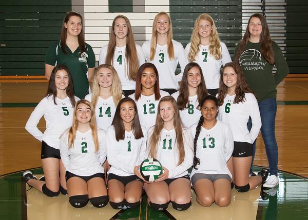 2017 JV Volleyball Team Picture