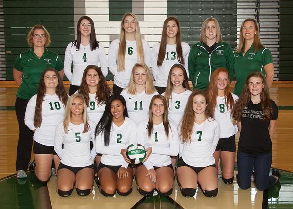 2017 Varsity Volleyball Team Picture